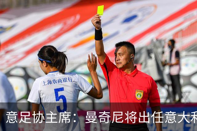 意足协主席：曼奇尼将出任意大利主帅 拉涅利任技术总监
